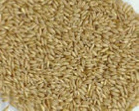 Avena Sativa Extract